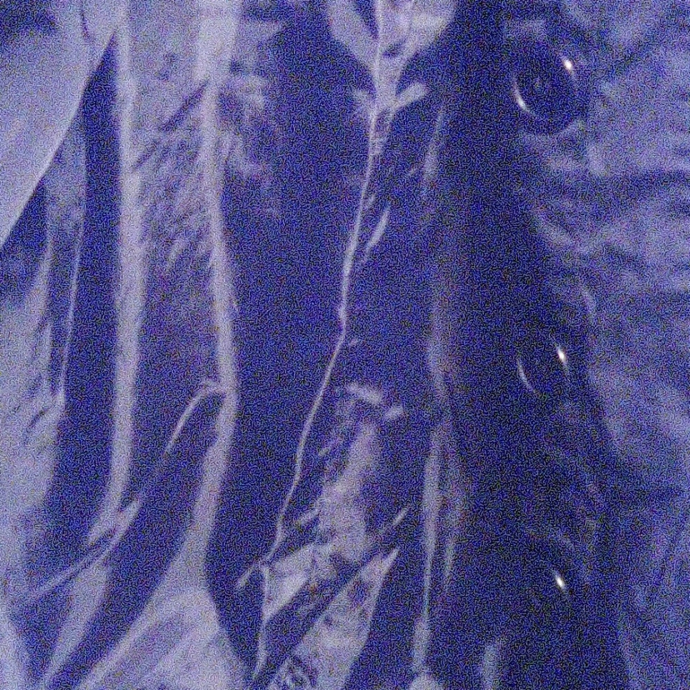 Long black overcoat - Picture 4 of 4